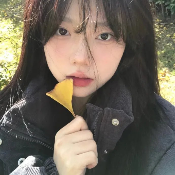 浪漫杀手